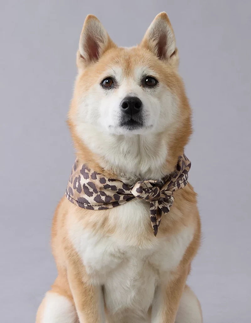 ABO Leopard Dog Bandana