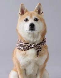 ABO Leopard Dog Bandana