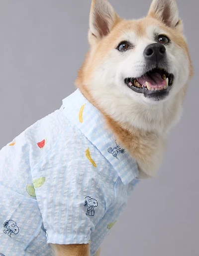 Chemise à boutons pour chien motif de fruits Snoopy ABO