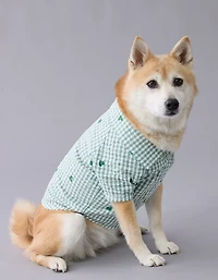 Chemise à boutons pour chien motif de cœurs en guingan ABO