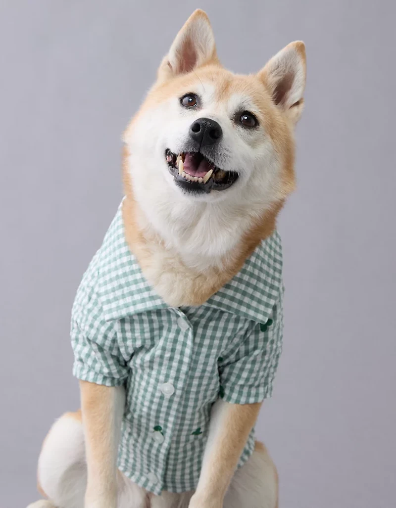 Chemise à boutons pour chien motif de cœurs en guingan ABO