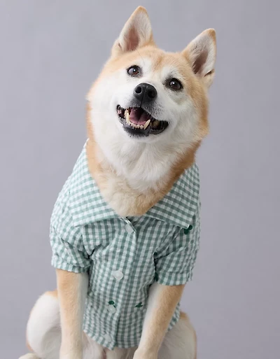 Chemise à boutons pour chien motif de cœurs en guingan ABO