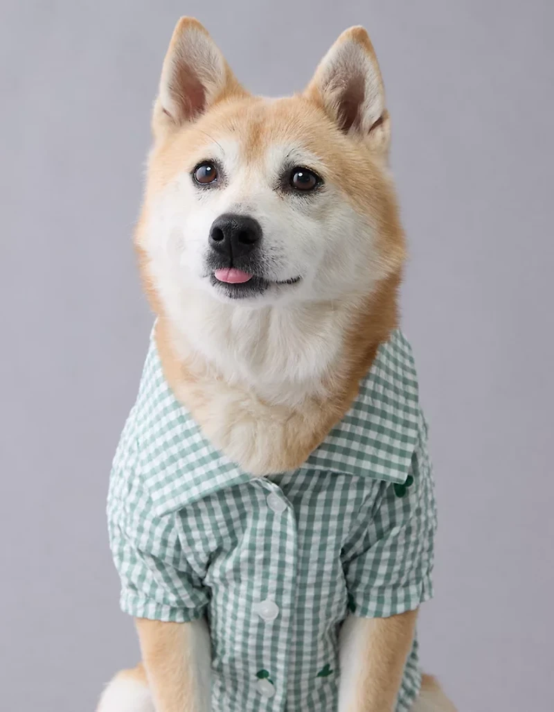 Chemise à boutons pour chien motif de cœurs en guingan ABO