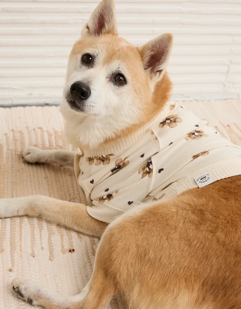 Chandail pour chien à motif d’ours en peluche ABO