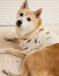 Chandail pour chien à motif d’ours en peluche ABO