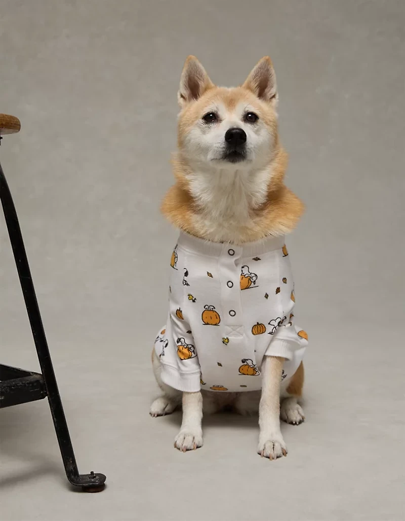 ABO Snoopy Pumpkin Plush Dog PJ Shirt