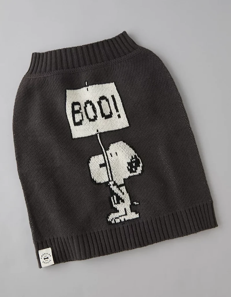 Chandail chien Snoopy AE