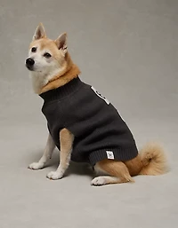 AE Snoopy Dog Sweater