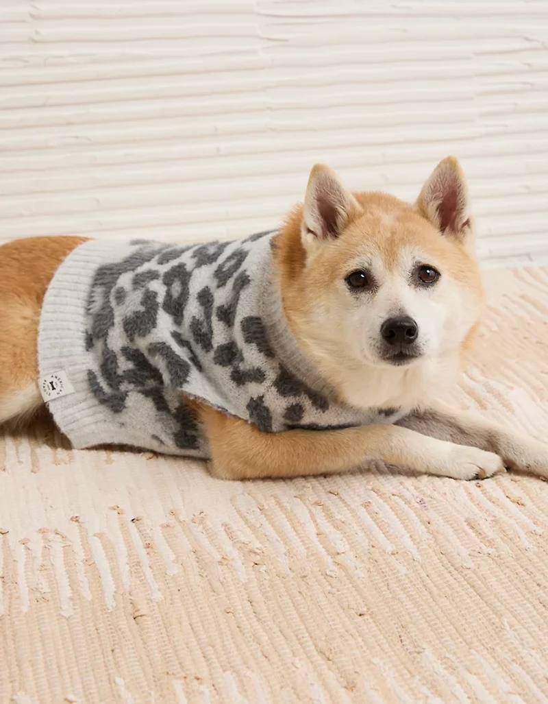 ABO Leopard Print Dog Sweater