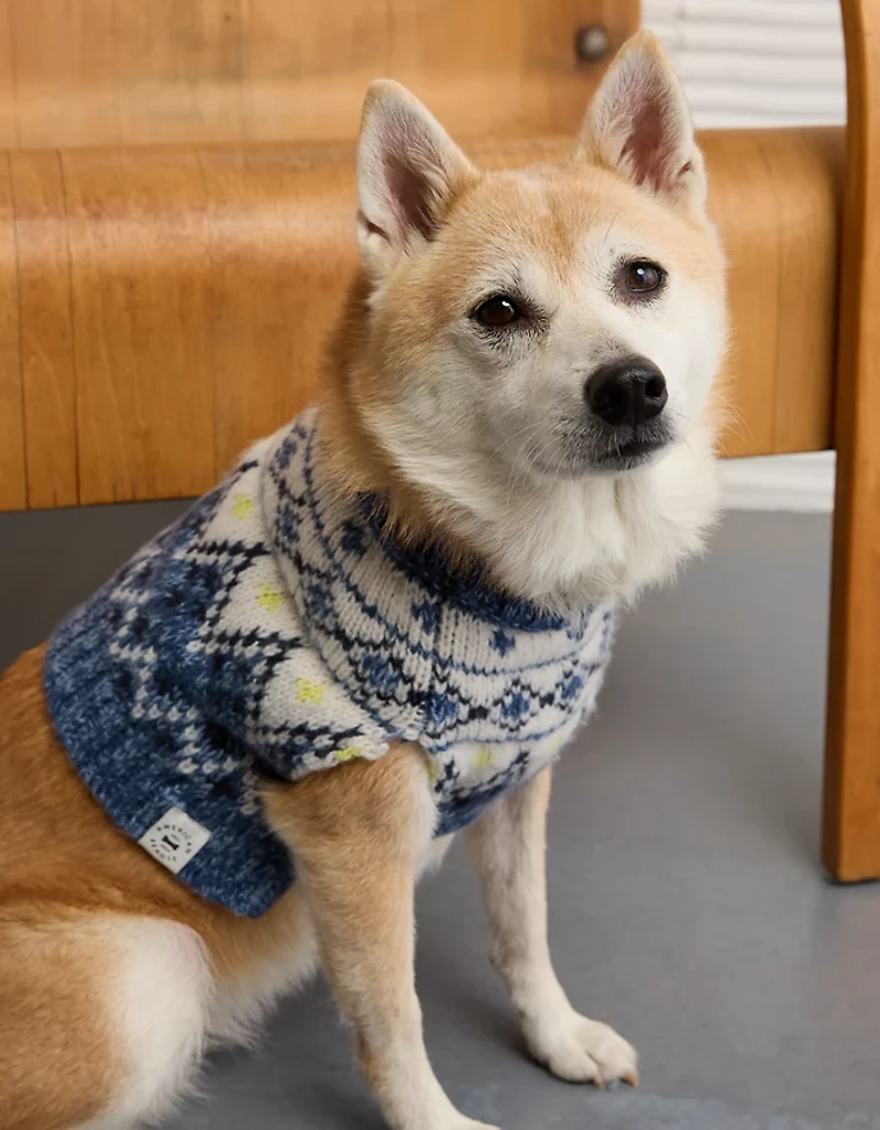 ABO Fairisle Dog Sweater