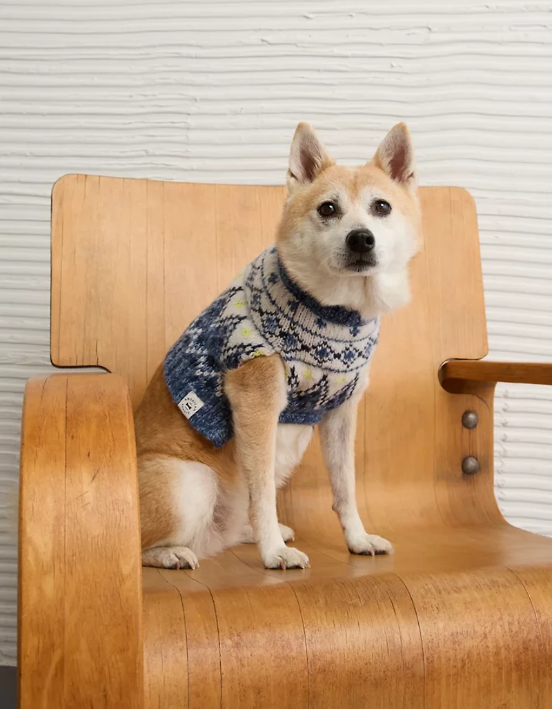ABO Fairisle Dog Sweater