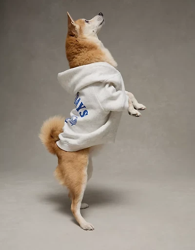 ABO Everyday Luxe Dog Hoodie