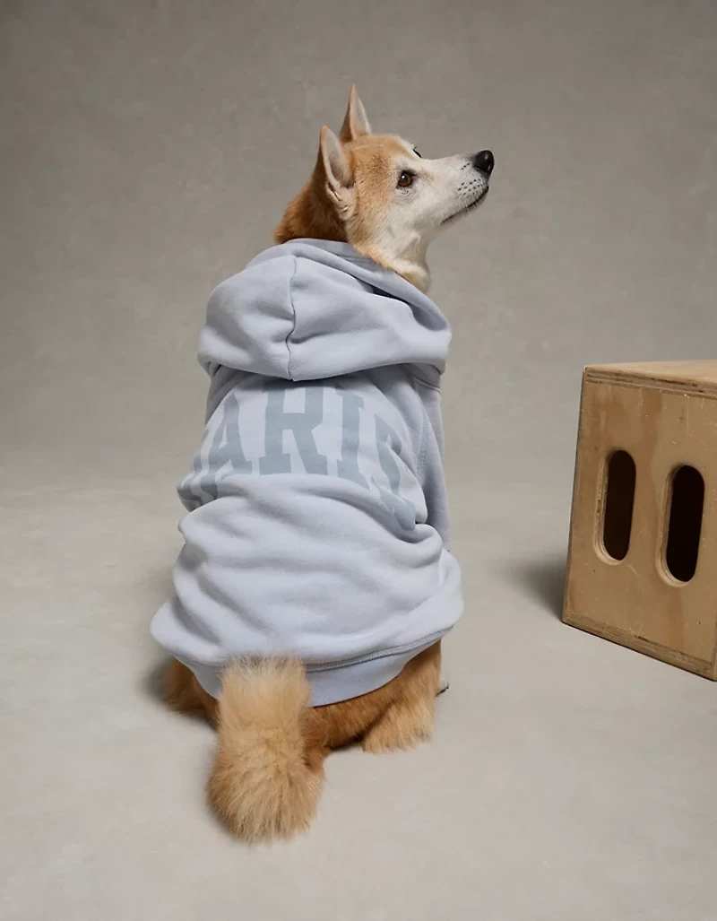 ABO Everyday Luxe Dog Hoodie