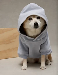 ABO Everyday Luxe Dog Hoodie