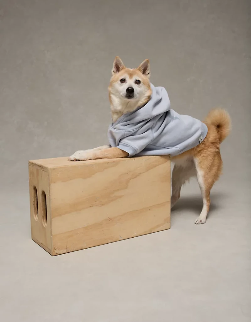 ABO Everyday Luxe Dog Hoodie