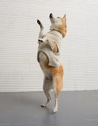 ABO Après-Ski Dog Sweater