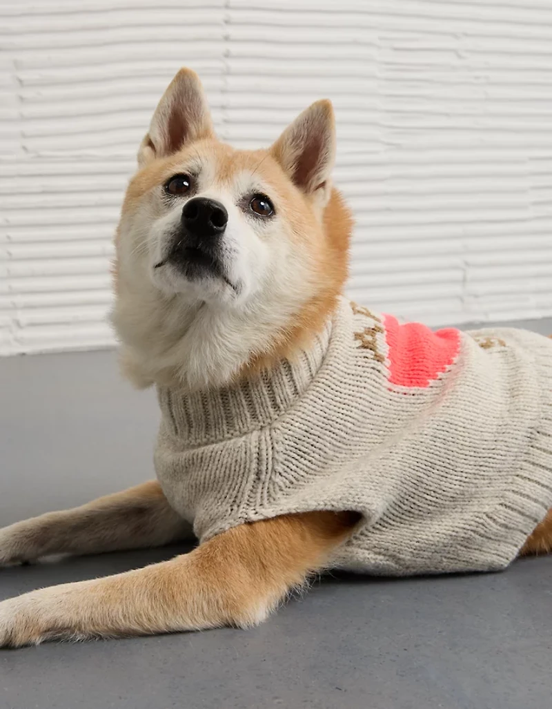 ABO Après-Ski Dog Sweater