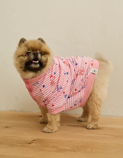 ABO Snoopy 4th of July Dog Sweater