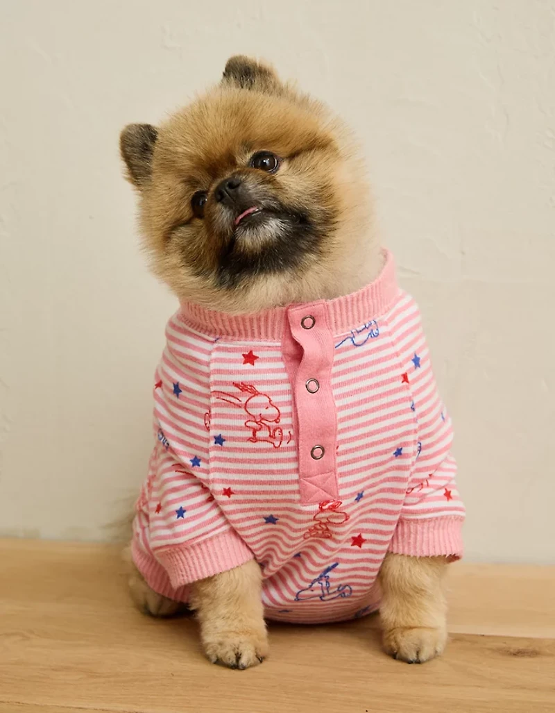 ABO Snoopy 4th of July Dog Sweater