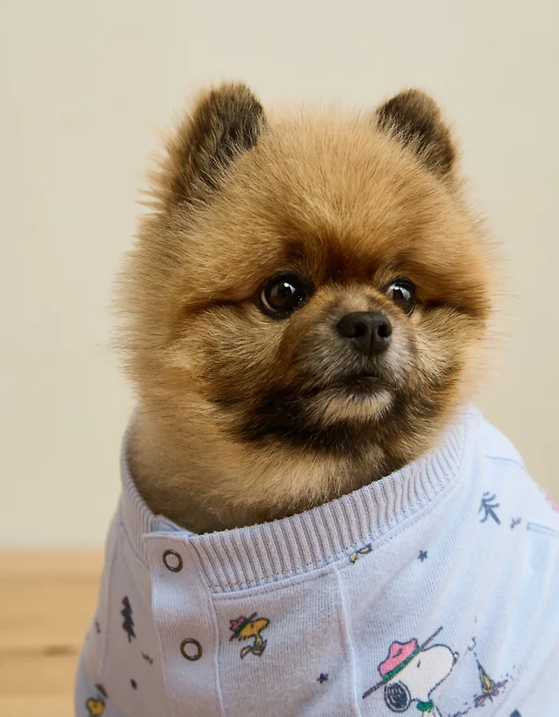Haut de pyjama pelucheux Snoopy ABO