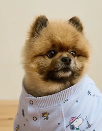 Haut de pyjama pelucheux Snoopy ABO