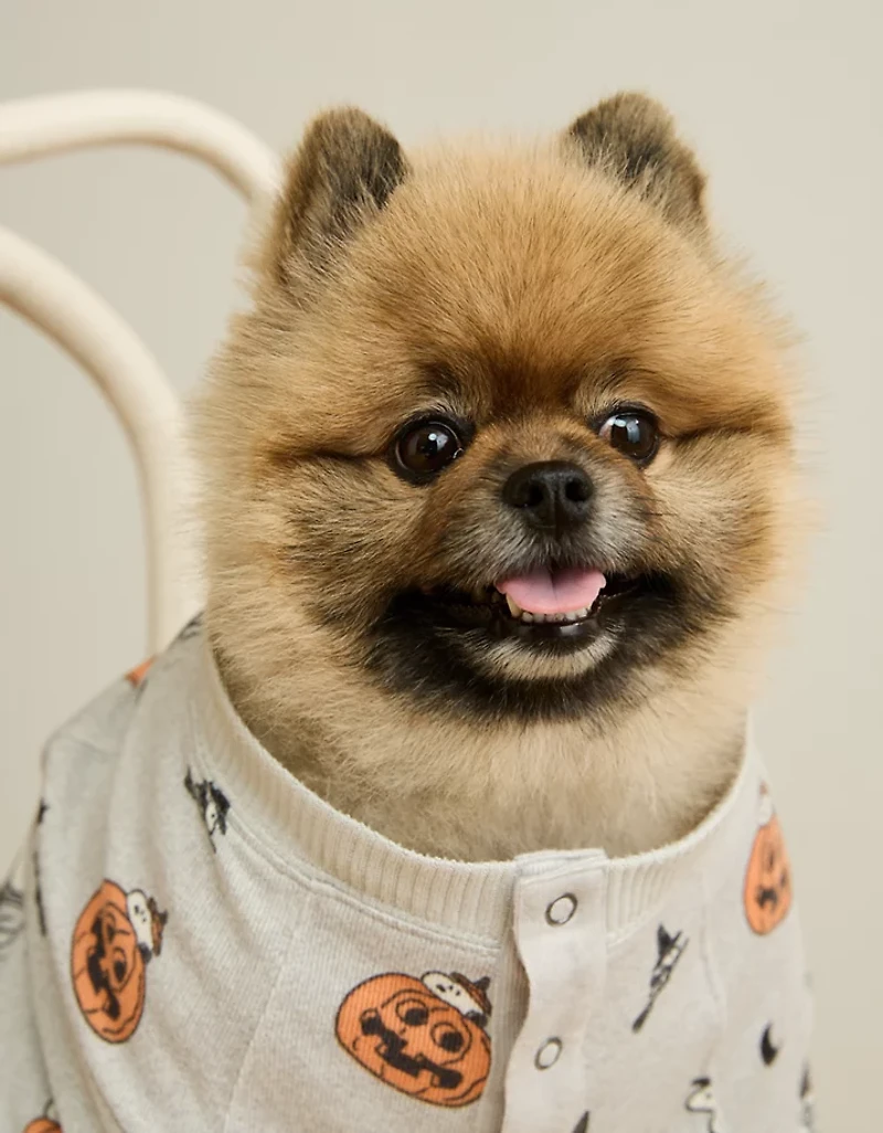 ABO Luxe Plush Snoopy PJ Top