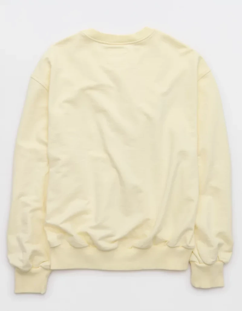 Aerie Jet Setter Crew Sweatshirt