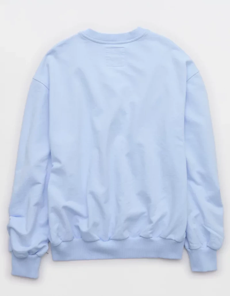 Aerie Jet Setter V Neck Sweatshirt