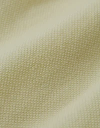 Aerie Textured Short