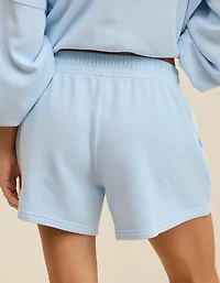 Aerie Textured Short