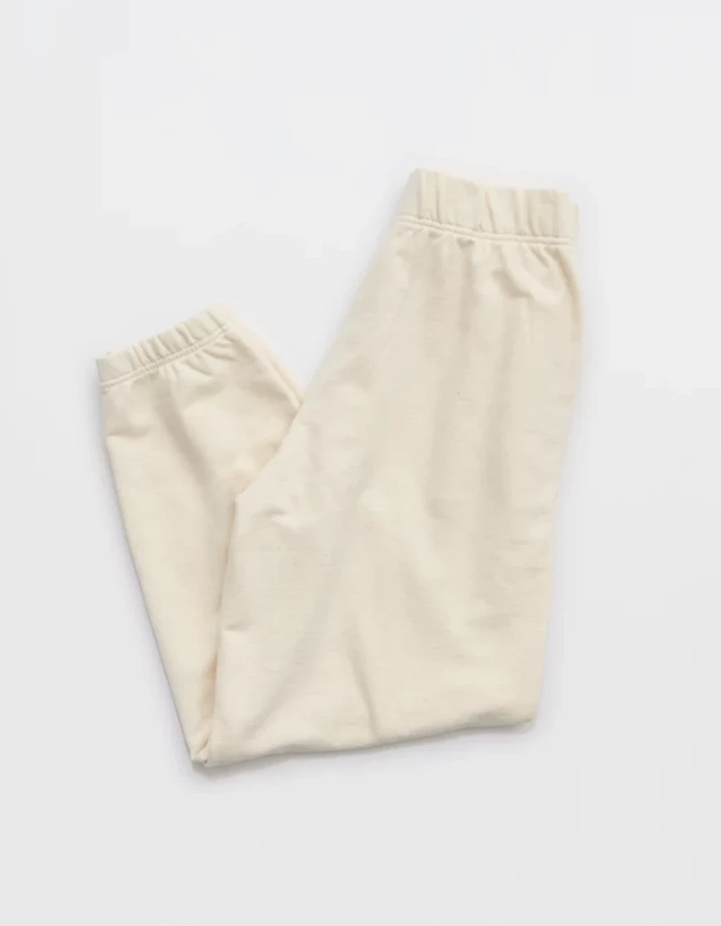 Aerie Jet Setter Jogger