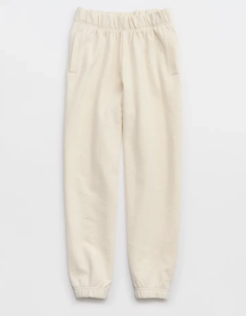 Aerie Jet Setter Jogger
