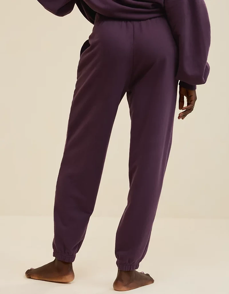 Aerie Jet Setter Jogger