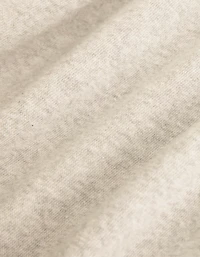 Aerie Sherpa Henley Sweatshirt