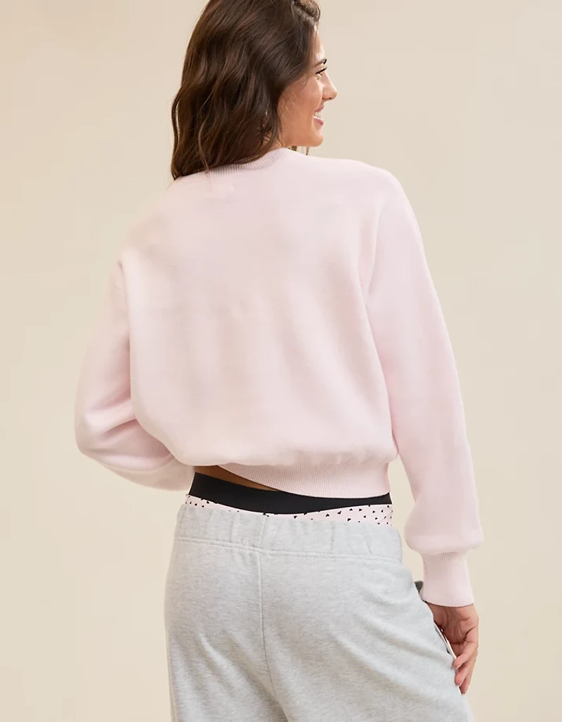 Aerie Cropped Crew Sweater
