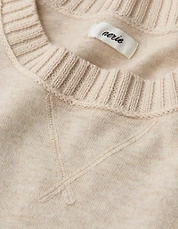 Aerie Sunday Soft Crew Sweater
