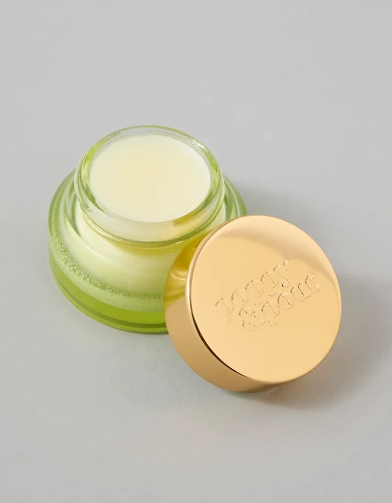 Poppy & Pout Sugared & Spiced Lip Scrub