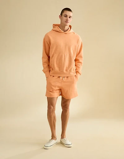 AE Lived-In Cotton Short