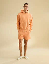 AE Lived-In Cotton Short