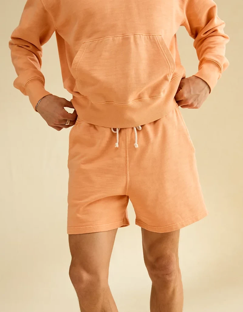 AE Lived-In Cotton Short