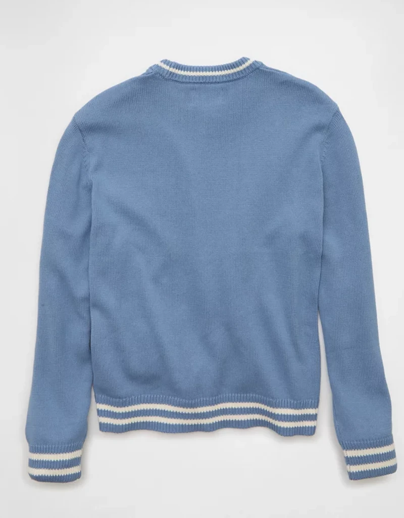 AE Graphic Crew Neck Sweater