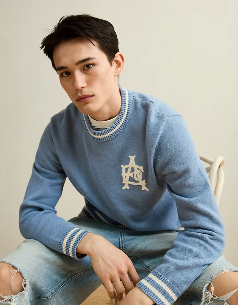 AE Graphic Crew Neck Sweater