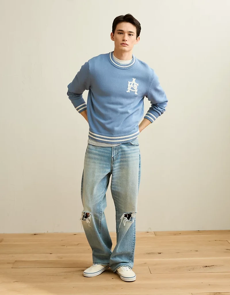 AE Graphic Crew Neck Sweater
