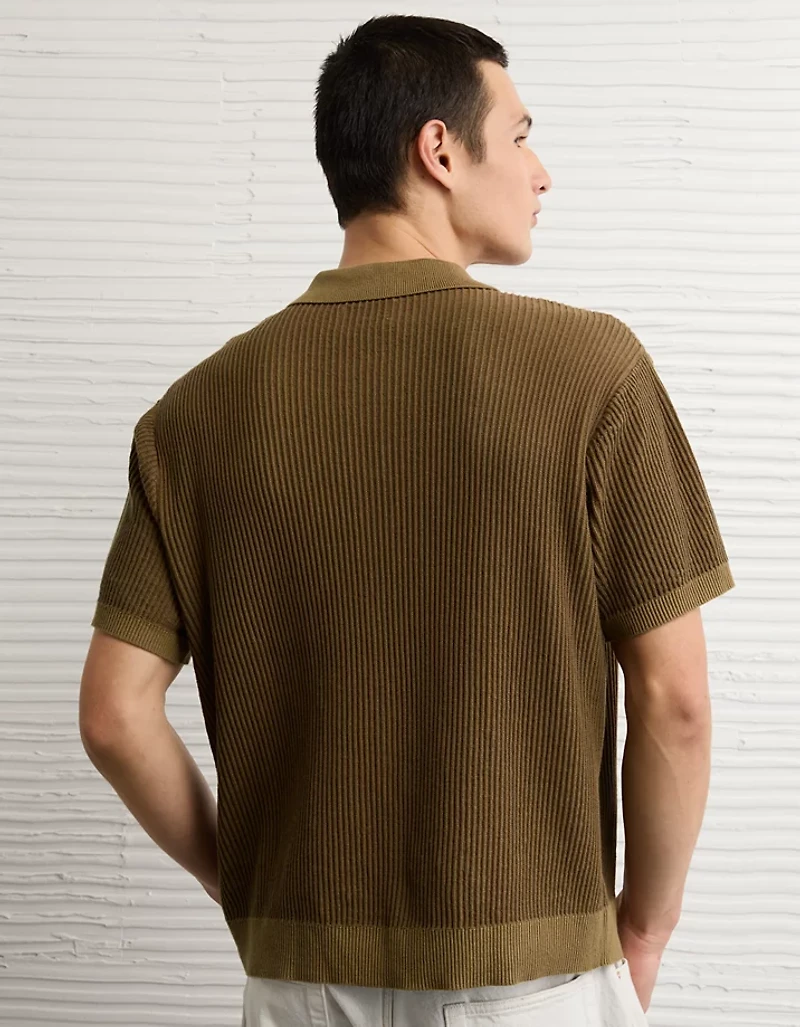 AE Striped Button-Up Sweater Polo