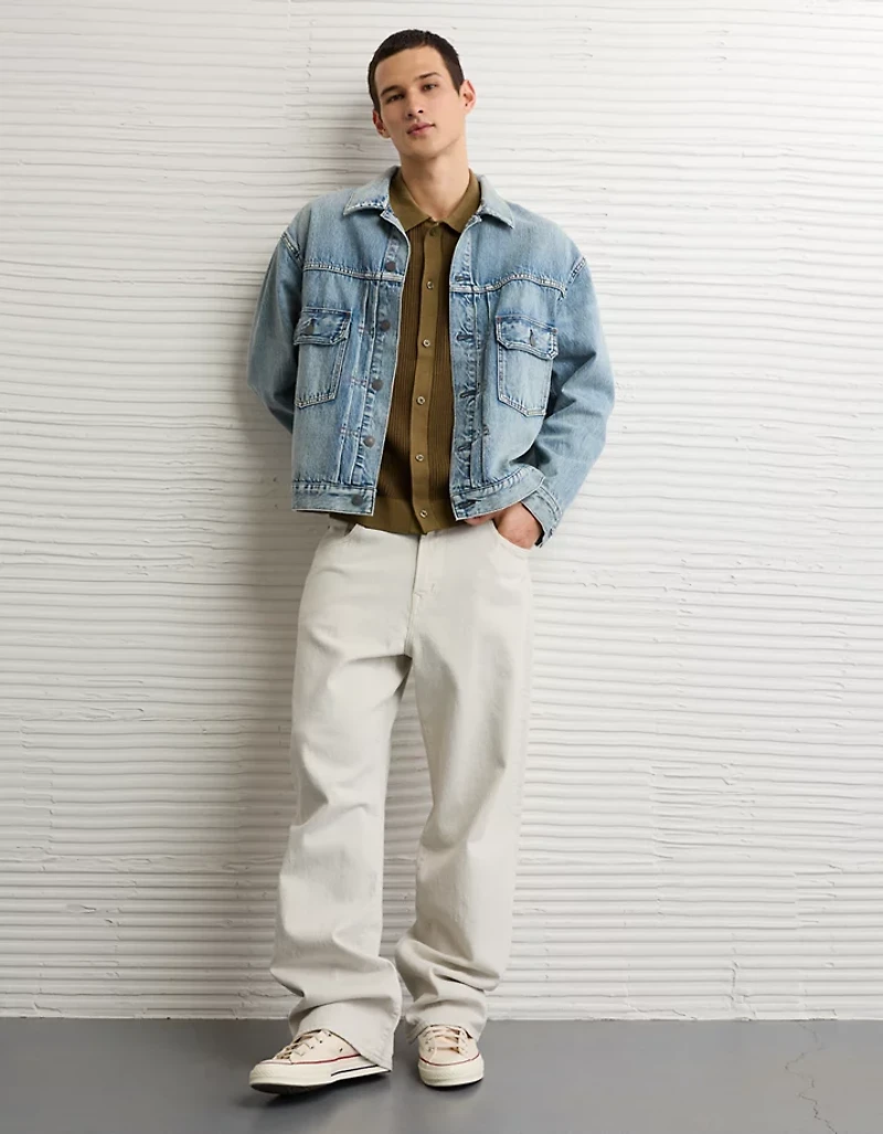 AE Striped Button-Up Sweater Polo