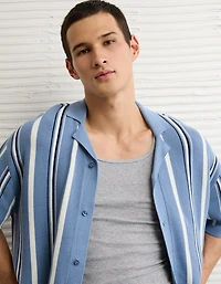 AE Striped Button-Up Sweater Polo
