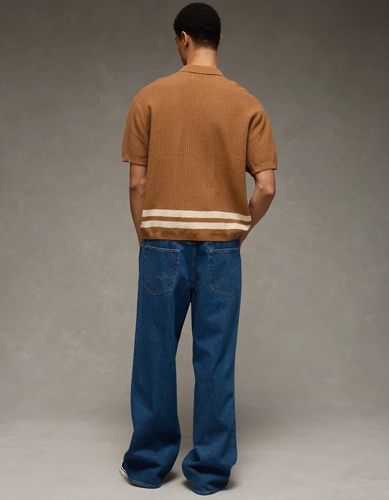 AE Striped Button-Up Sweater Polo