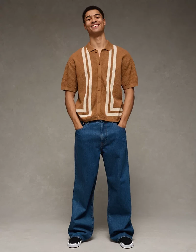 AE Striped Button-Up Sweater Polo