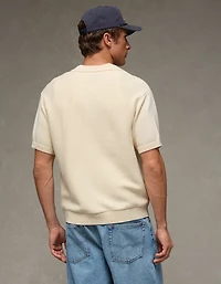AE Garment-Washed Button-Up Sweater Polo