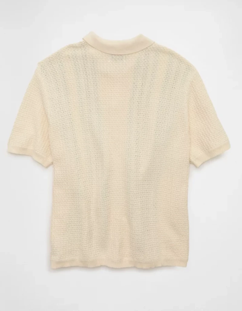 AE Striped Button-Up Sweater Polo